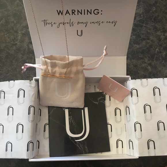 NWT Uncommon James Raise the Bar Higher Pendant - Picture 4 of 6